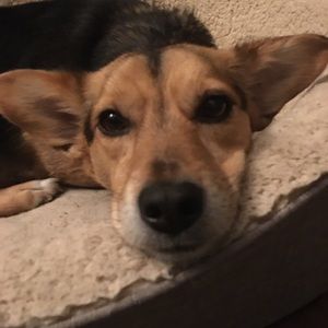 Meet your Posher, Portia